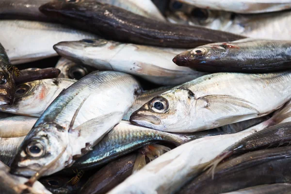 Sardinhas na banca de mercado de um mercado de peixe — Fotografia de Stock