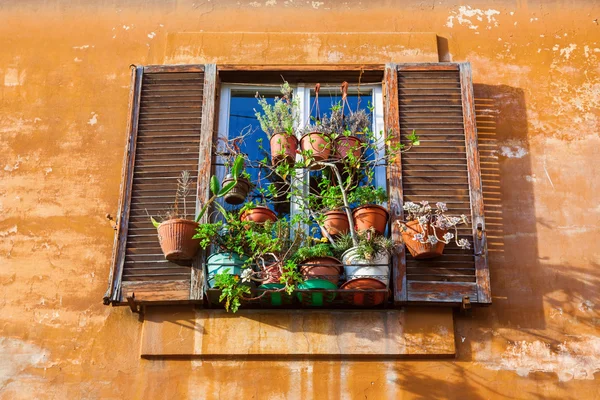 Picturesque window with flower pots at an old house in Rome, Italy — Stock Photo, Image