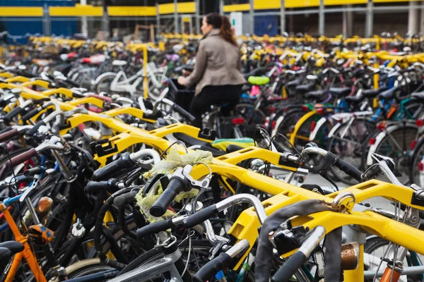 Viele Fahrräder am Fahrradständer — Stockfoto