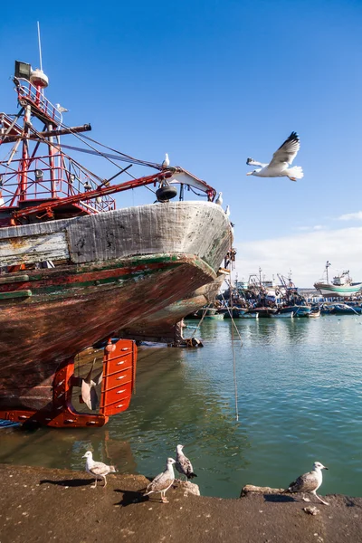 Eski gemi ve martılar Essaouira, Fas Harbor — Stok fotoğraf