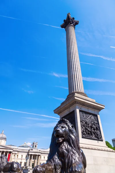 ロンドンのトラファルガー広場でネルソンズ列 — ストック写真