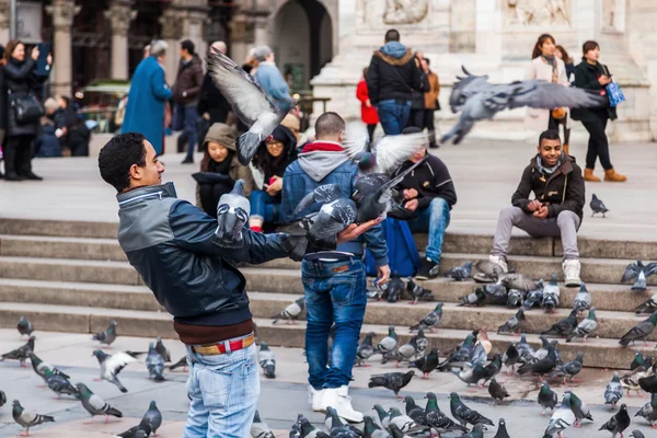 Gente en una masa de palomas en la plaza de la catedral en Milán, Italia —  Fotos de Stock