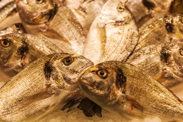 Sea breams at a market stall of a fish market — Stock Photo, Image