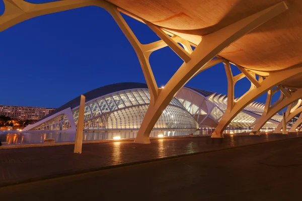 Ciudad de las Artes y las Ciencias en Valencia, España — Foto de Stock