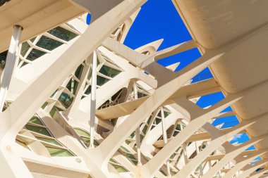 Valencia, İspanya Santiago Calatrava gelen Doğa Bilimleri Müzesi