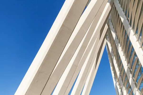 Museum voor Natuurwetenschappen van Santiago Calatrava in Valencia, Spanje — Stockfoto