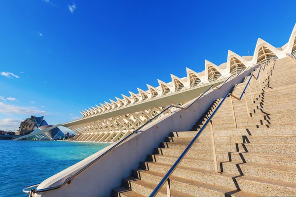 Valencia, İspanya Santiago Calatrava gelen Doğa Bilimleri Müzesi — Stok fotoğraf