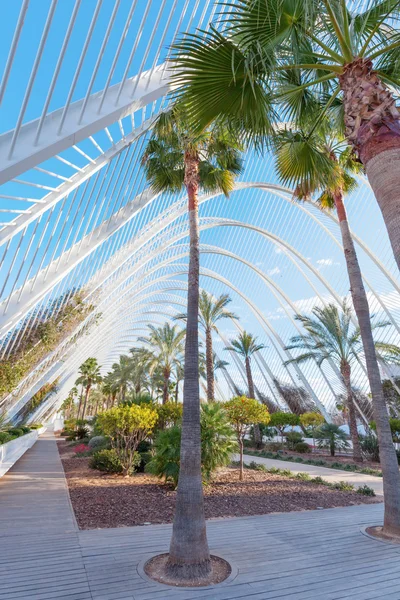 Umbracle building in the City of Arts and Sciences in Valencia, Spain — Stock Photo, Image