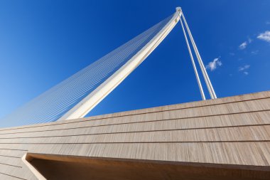 Bridge'de City of Arts and Sciences dan Santiago Calatrava, Valencia, İspanya