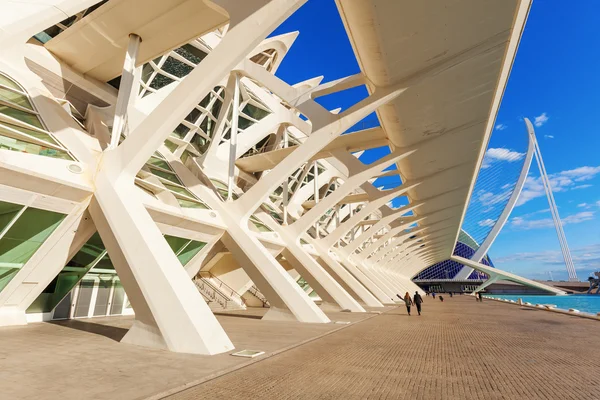 Museo de Ciencias Naturales de la Ciudad de las Artes y las Ciencias en Valencia, España — Foto de Stock