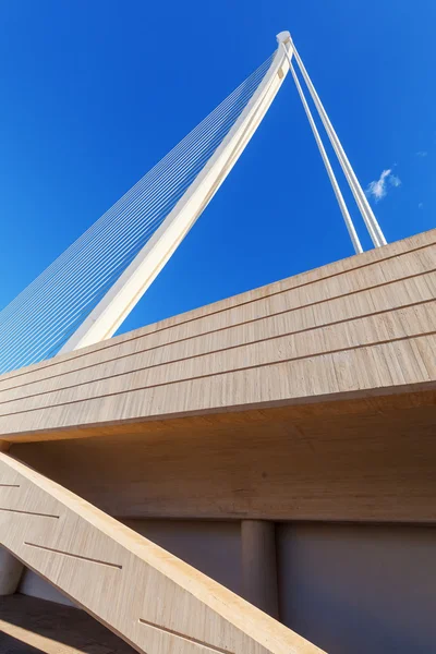 Ponte nella Città delle Arti e delle Scienze di Santiago Calatrava a Valencia, Spagna — Foto Stock