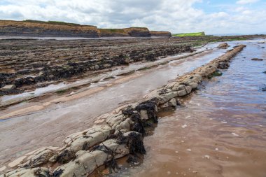 plaj, Somerset, İngiltere