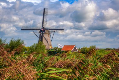 yel değirmenleri doğal, Hollanda