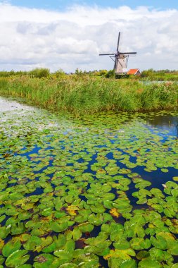 yel değirmenleri doğal, Hollanda