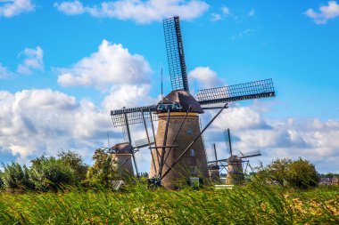 yel değirmenleri doğal, Hollanda