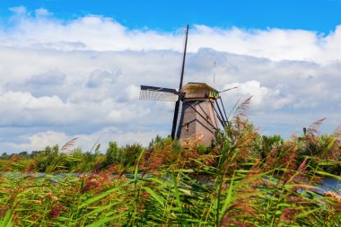 yel değirmenleri doğal, Hollanda