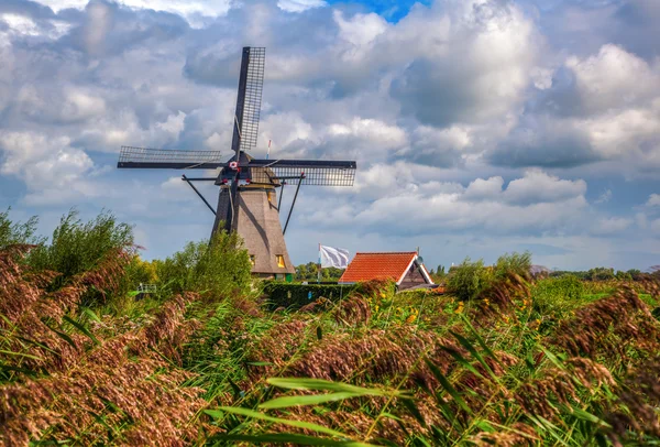 Moulins à vent en Kinderdijk, Pays-Bas — Photo