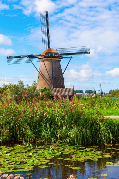 Väderkvarnar i kinderdijk, Nederländerna — Stockfoto