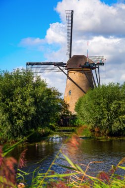 yel değirmenleri doğal, Hollanda