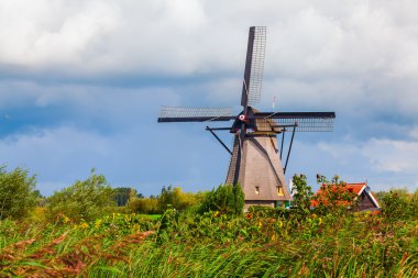yel değirmenleri doğal, Hollanda