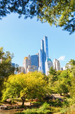 Central Park'ta Manhattan, Nyc