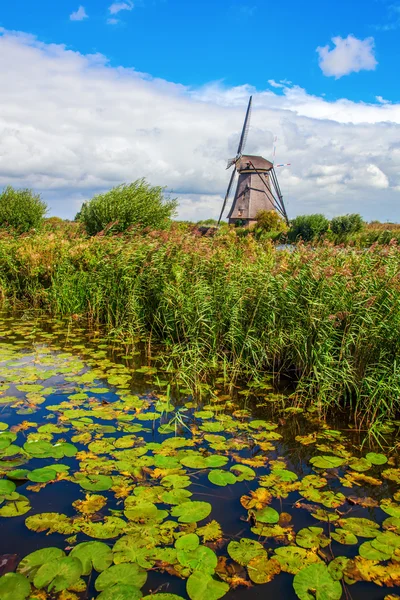Szélmalmok Kinderdijk, Hollandia — Stock Fotó