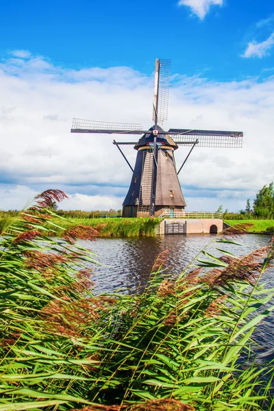 Moulins à vent en Kinderdijk, Pays-Bas — Photo