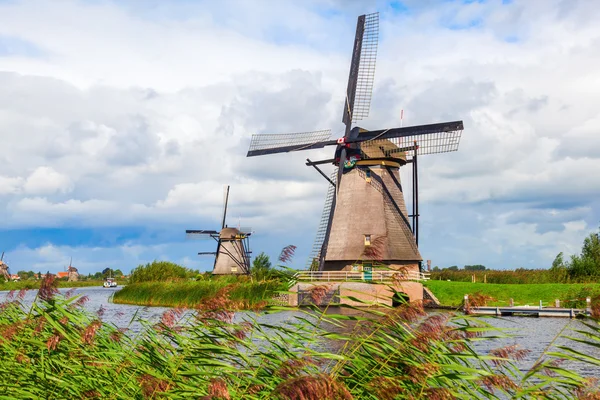 Väderkvarnar i kinderdijk, Nederländerna — Stockfoto