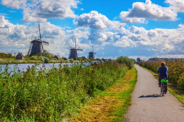 Molinos de viento históricos en Kinderdijk, Países Bajos — Foto de Stock