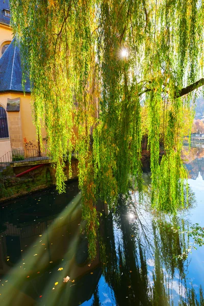 Nehirde Alzette Lüksemburg — Stok fotoğraf