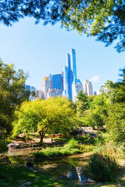 Central Park in Manhattan, Nyc — Stockfoto