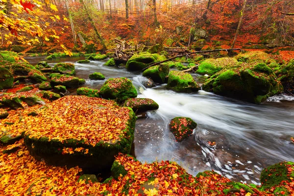 Irrel Cascades aan de rivier Oostkamp in de Eifel, Duitsland — Stockfoto