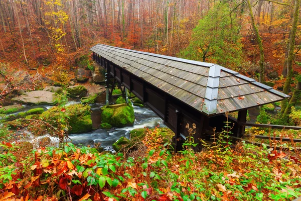 Irrel Cascades aan de rivier Oostkamp in de Eifel, Duitsland — Stockfoto