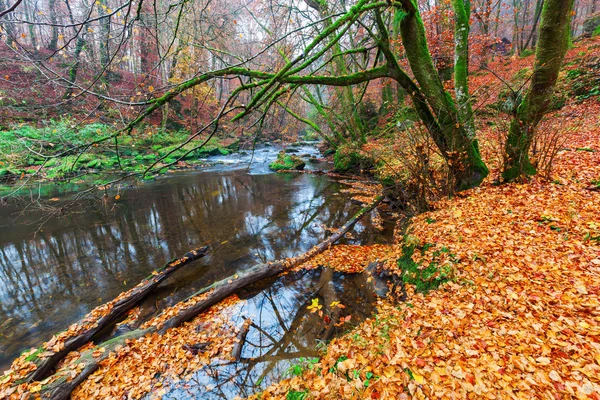 Irrel Cascades aan de rivier Oostkamp in de Eifel, Duitsland — Stockfoto