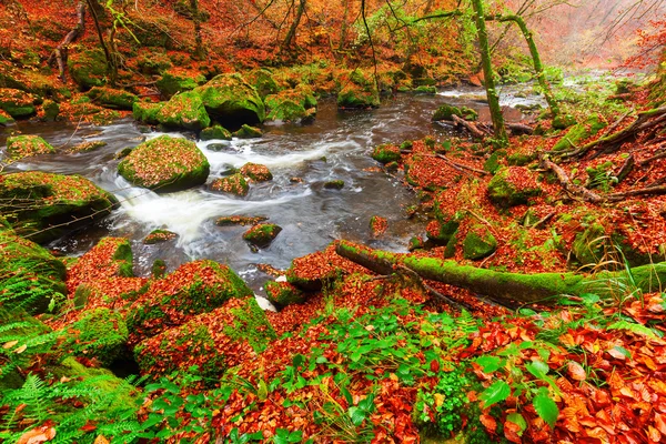 Irrel Cascades aan de rivier Oostkamp in de Eifel, Duitsland — Stockfoto