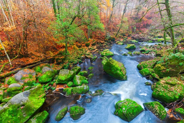Irrel Cascades at the river Pruem in the Eifel, Germany — Stock Photo, Image