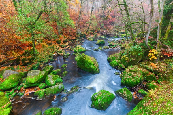 Irrel Cascades aan de rivier Oostkamp in de Eifel, Duitsland — Stockfoto