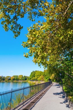 Sonbahar Central Park'ta, Nyc
