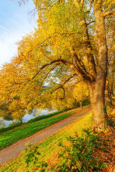 Autumnal landscape along a river — Stock Photo, Image