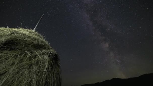 Tidsförskjutning Perseids Meteoritdusch Med Vintergatan Och Enbär Bakgrund Och Gräs — Stockvideo