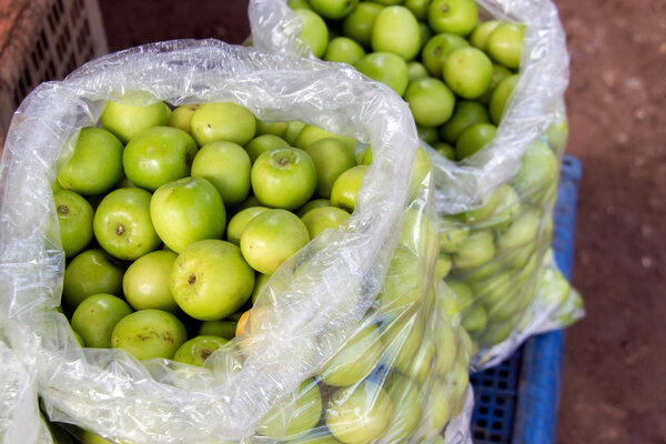 green monkey plastic bag