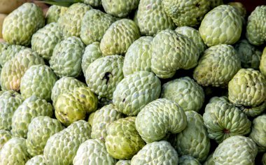 muhallebi apple Tay Kuruyemiş