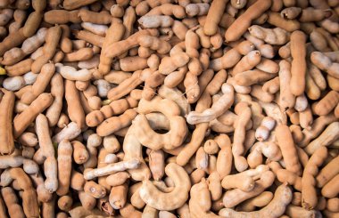 demirhindi bakla satmak