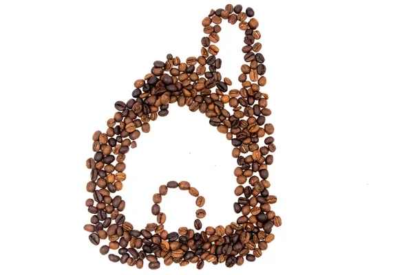 Coffee seed on white — Stock Photo, Image