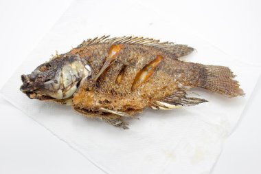 tilapia balık beyaz kağıt üzerinde 