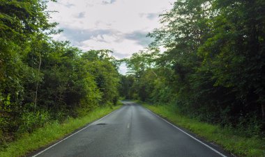 Yağmur mevsiminde macera gezisi için ormana giden manzara yolu