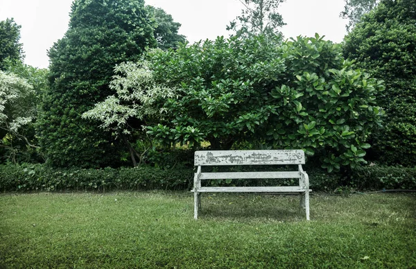 Jardim Inglês Livre Parque Público Para Fundo — Fotografia de Stock