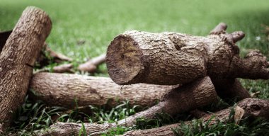 Pankart boyutunda odun kesme