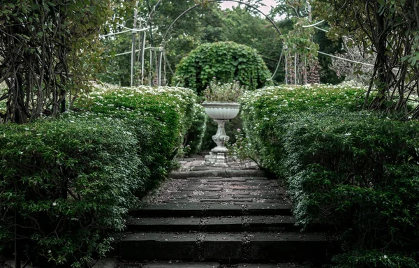 Відкритий Англійський Сад Громадському Парку Фону — стокове фото