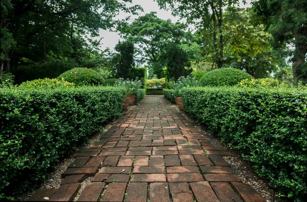 Parque Público Inglés Concepto Jardín Para Fondo Aire Libre — Foto de Stock